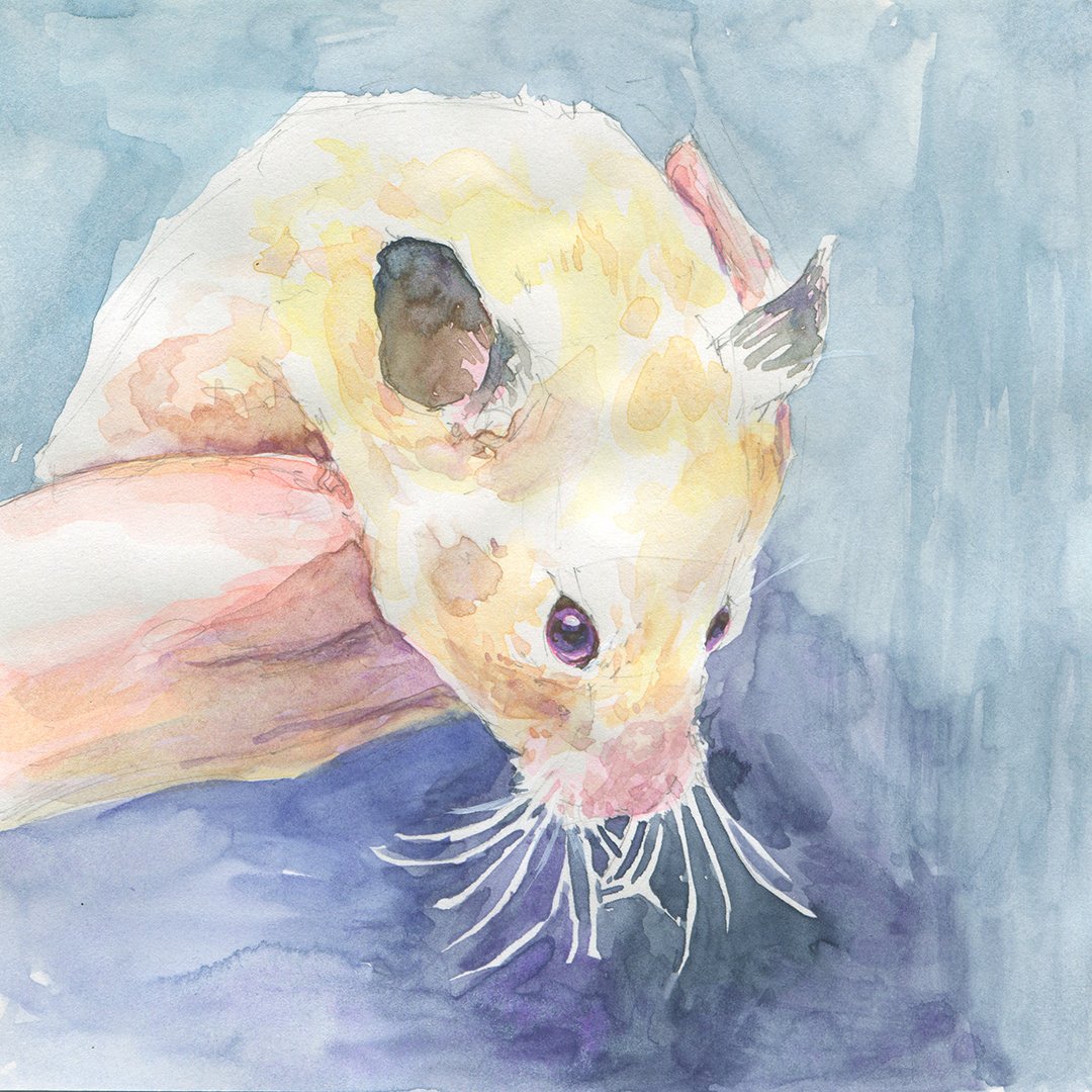 仁田原誠🌸はむびより4/21.17時～ tweet media