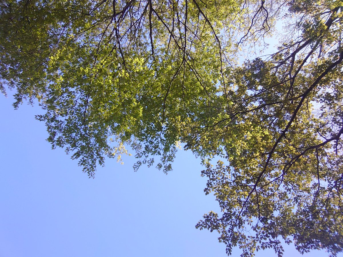 sakaj takuya tweet media