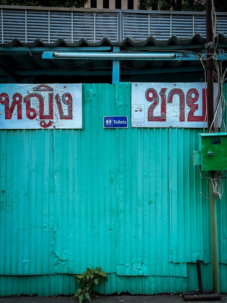 พวกป้าที่รักหมาแมวจร และชอบให้อาหารหน้าบ้านคนอื่นมันเริ่มต้นอายุเท่าไหร่กันนะ
.
วันนี้มีป้าคนนึงอายุ 30 ต้น ซื้อเบคอนทอดมาให้ลูกแมวจรกินหน้าร้านเรา
.
เราบอกว่าตรงนี้ให้อาหารไม่ได้
นางหันมาตะวาดใส่ว่า “แมวคุณเหรอ?” พร้อมทำปากขมุบขมิบ
.
ทางนี้เลยพูดไปว่า “อิไม่สวย” แล้วเดินออกมา