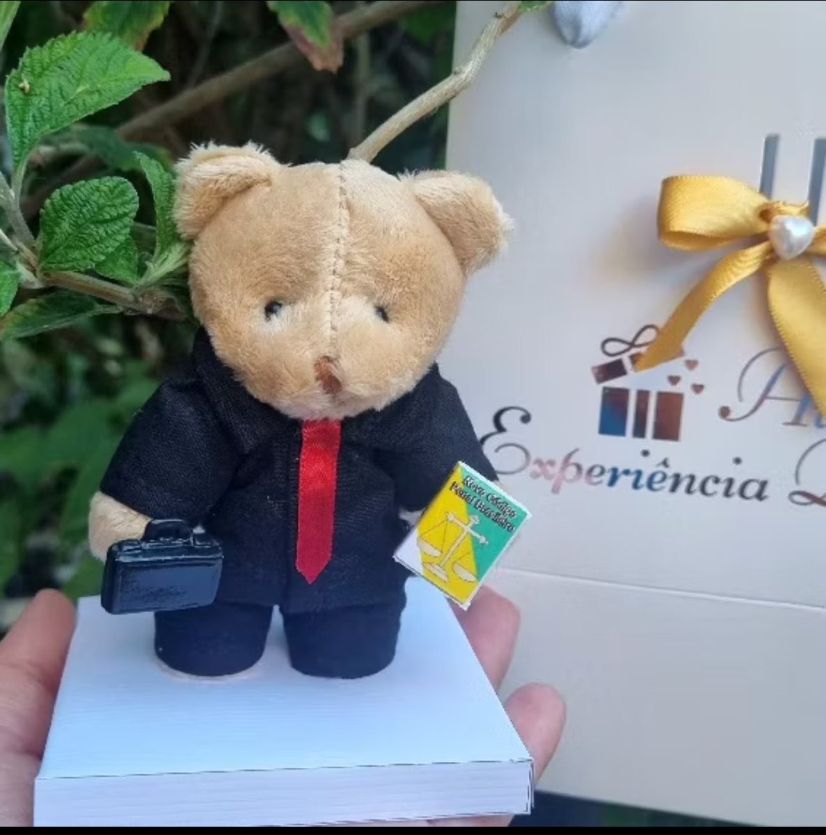 bkersonn's tweet photo. Meu digníssimo se tornou professor de direito e pra comemorar essa conquista comprei o pequeno urso professor Paulo areias https://t.co/QusI5SW7TQ