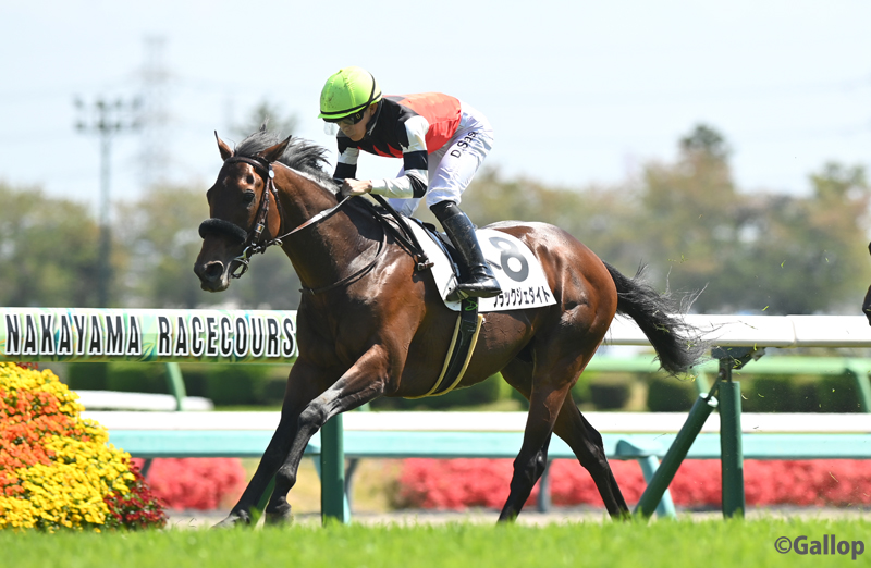 週刊Gallop（Weekly Gallop） tweet media