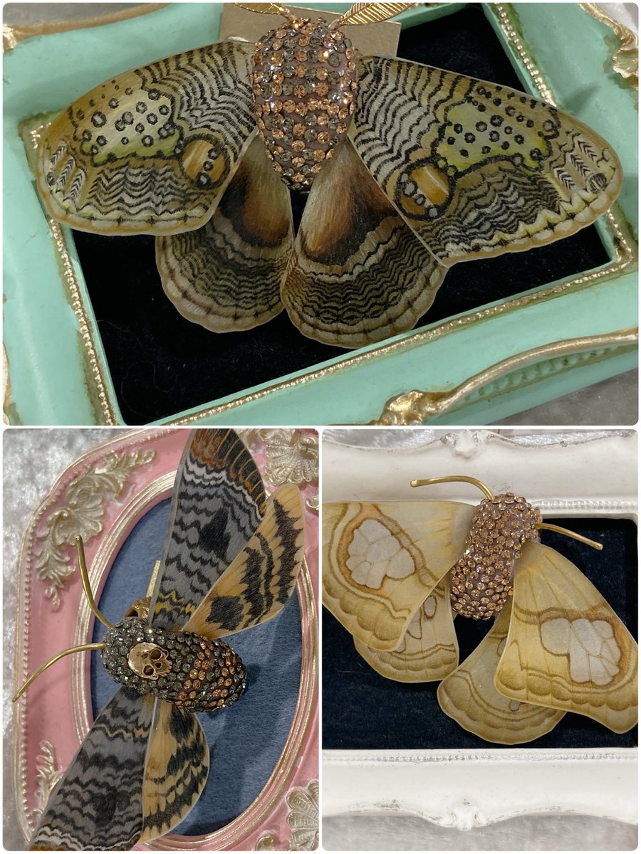 #博物マニア 開催中
イボタガのリング
スカシカギバのリング
クロメンガタスズメのリング
サイズは全て13号です

本日最終日17時までお待ちしています
名古屋吹上ホール
10:00〜17:00
GEMINIブースNo.105