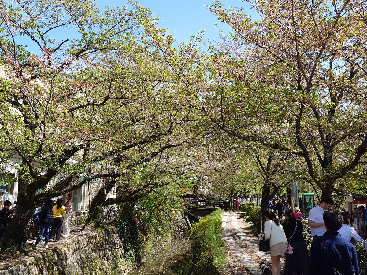 ふかみん@やるじゃねぇか支部 tweet media