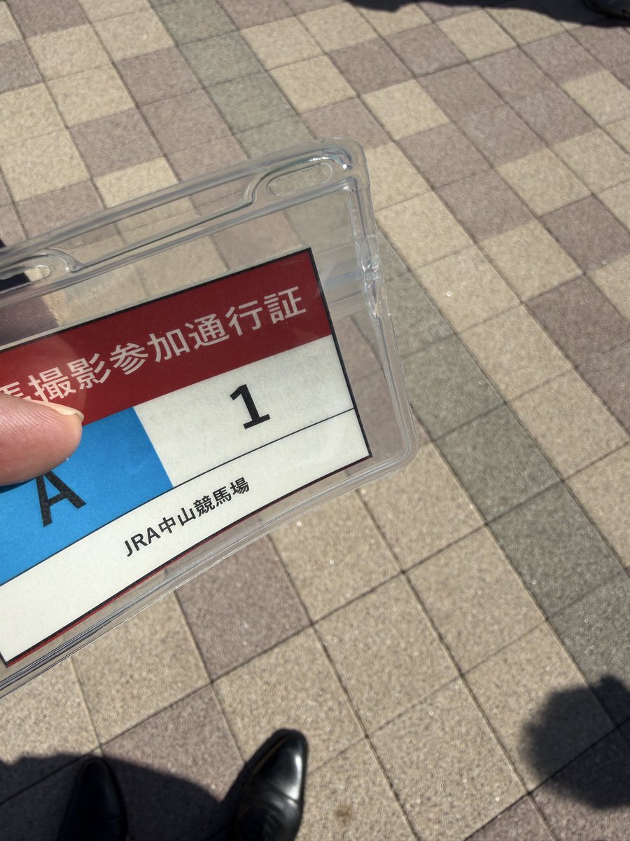 サルバトーレ tweet media