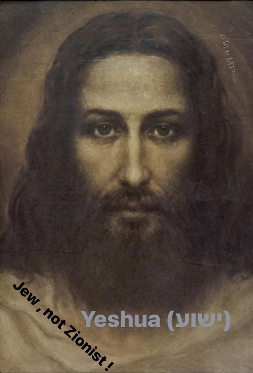 Freda Tsiloglou tweet media