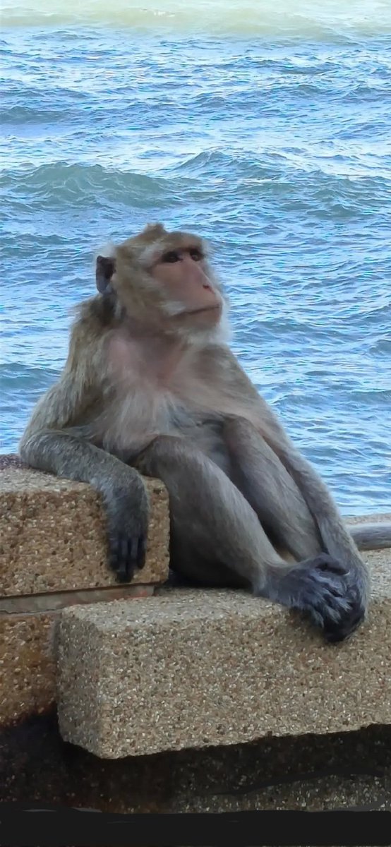 W❤️B คู่ประจวบ tweet media