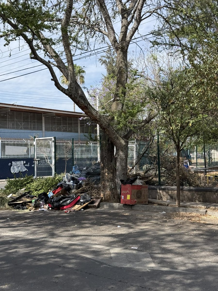 Manuel Fonseca Contreras tweet media