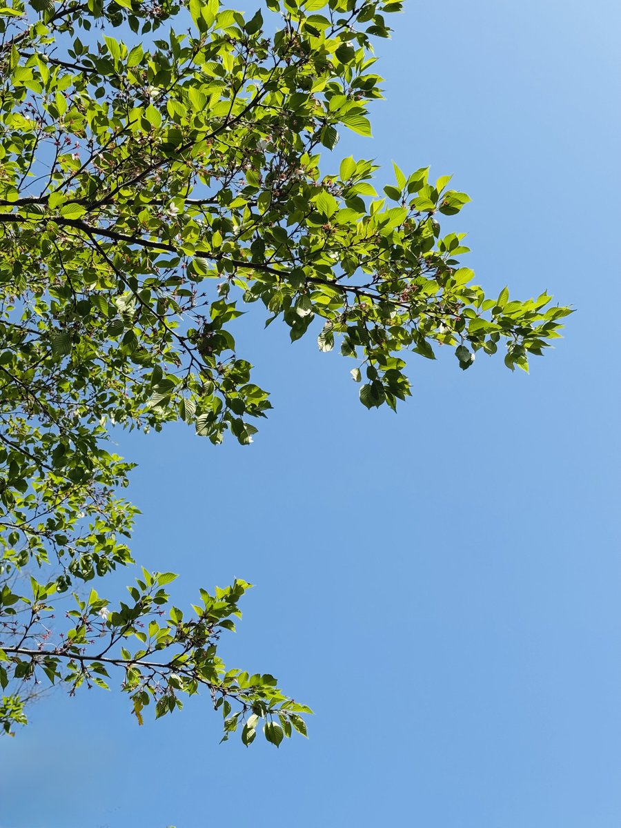 ☆人形遣いLUNEの独り言☆ tweet media