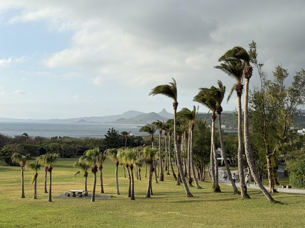 シャオヤ tweet media