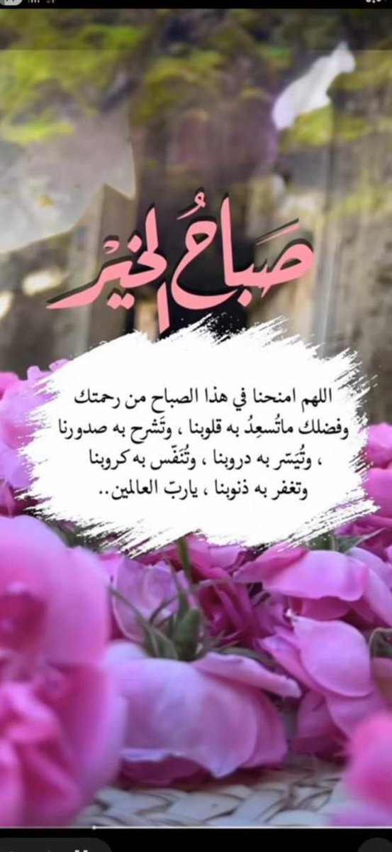 33Nightmoon's tweet photo. صباااح الخيرات💐💐💐 https://t.co/8vFnjNjtLt