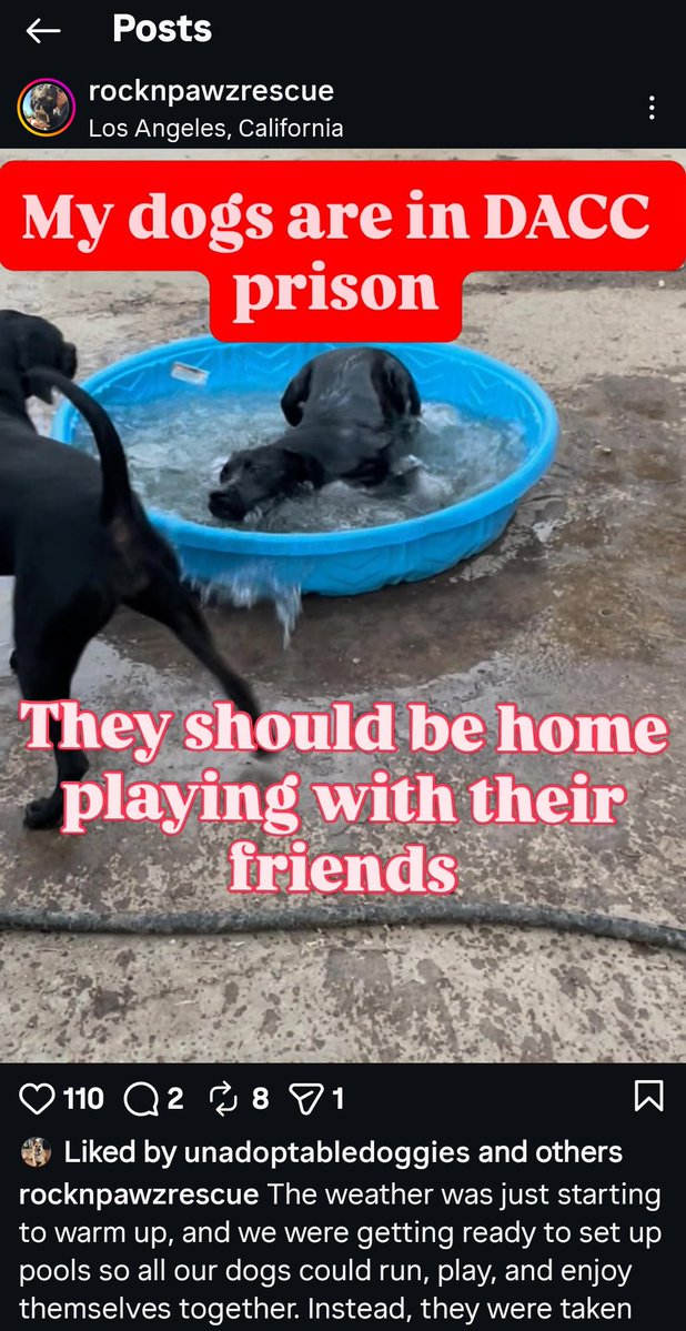 PhaedraXTeddy's tweet image. Remember a few weeks ago LACounty went and did the viral fake rescue of happy beloved animals in #California that everyone was sharing and cheering? 
That's ok, everyone that shared the story and thanked LA County forgot too. 
Here are some of the #RocknPawz sanctuary  pets