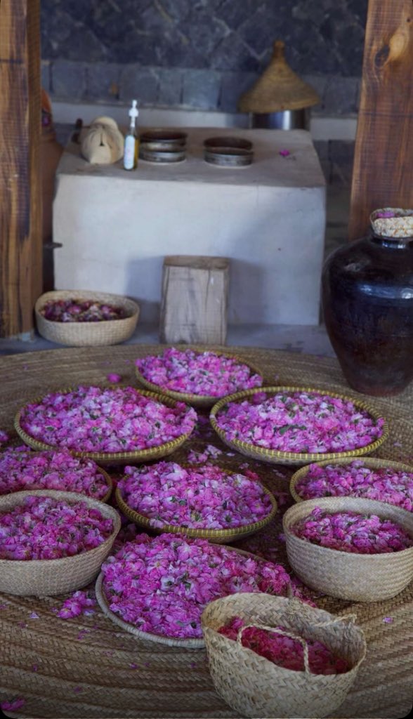 سمــو💛 tweet media