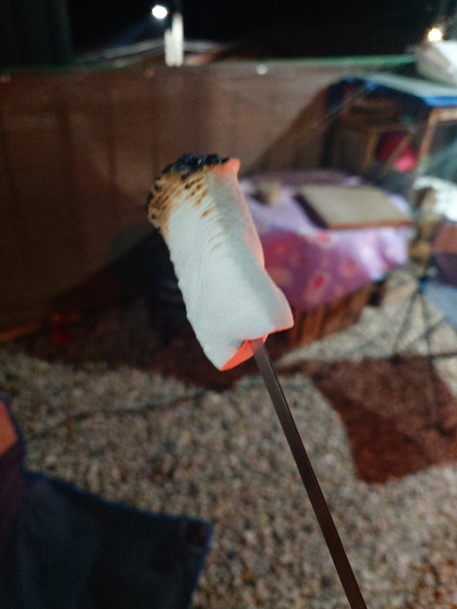 DIGIWB/화이트베어🔜 Undefined tweet media