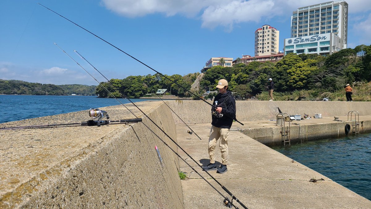 釣りスギ四平 tweet media