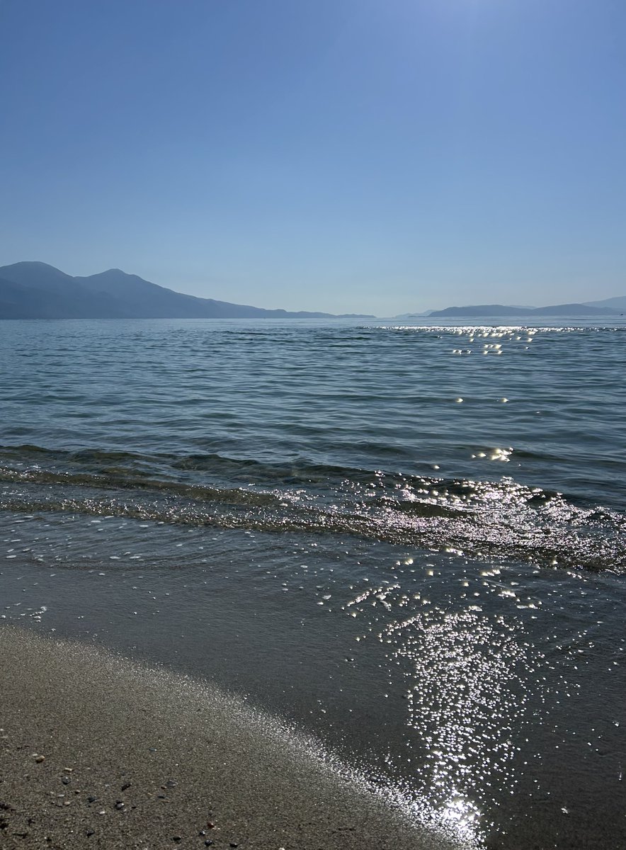 Hasan Alayoğlu tweet media