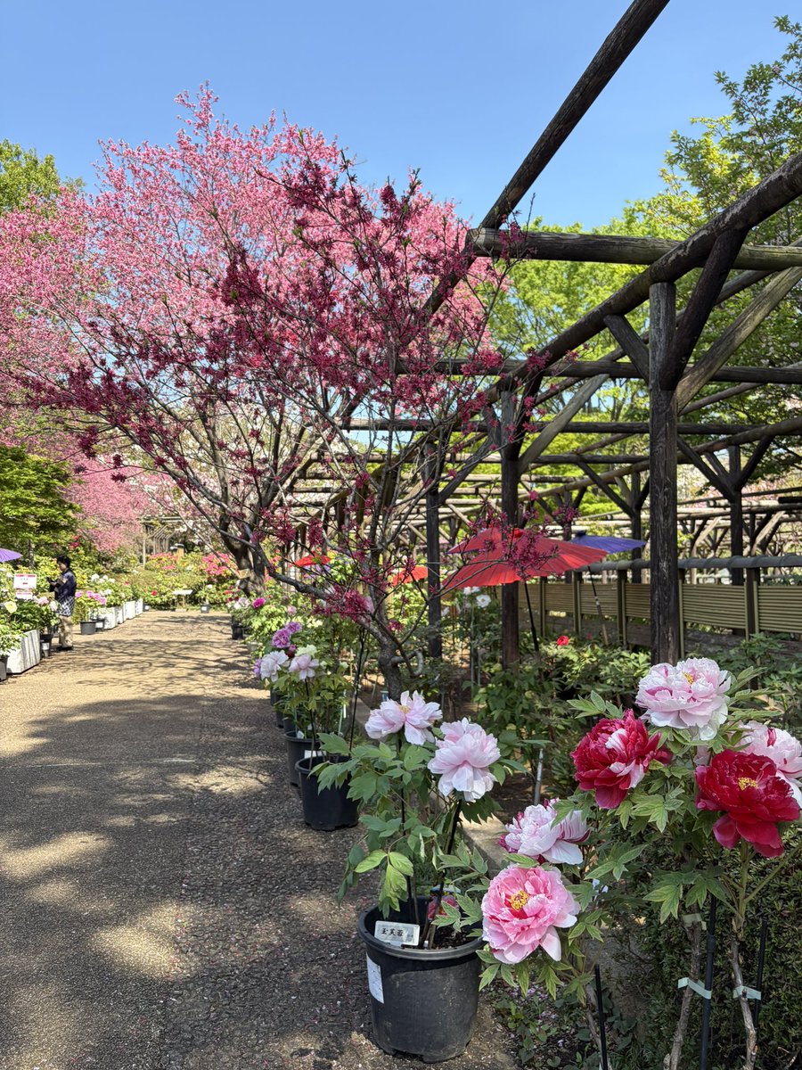 からちゅーの町田放浪記 tweet media