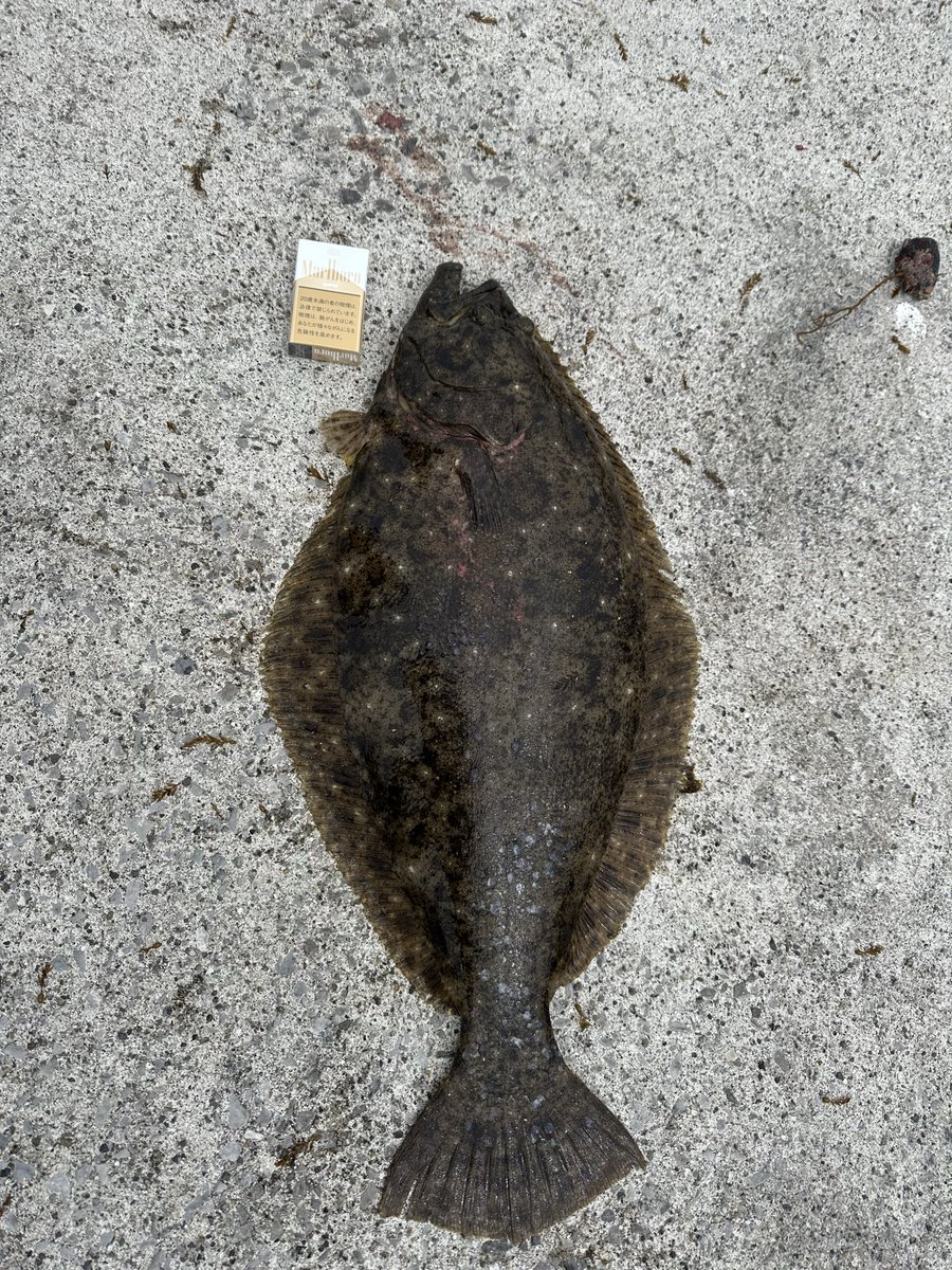 ジャムおじ🍞 tweet media