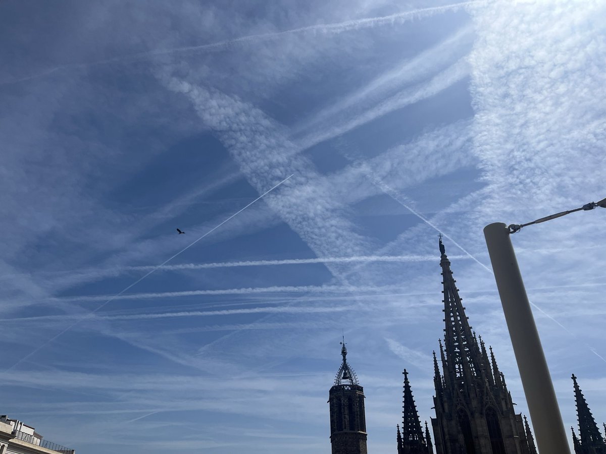 okeydokey tweet media