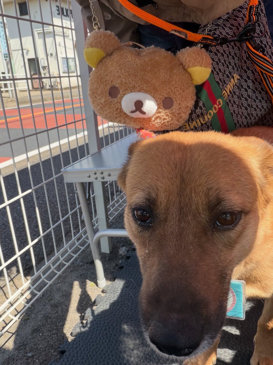 あっこ🍈🫧 tweet media