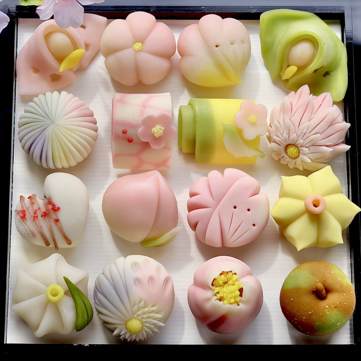 和菓子職人 土屋 タダヒロ tweet media