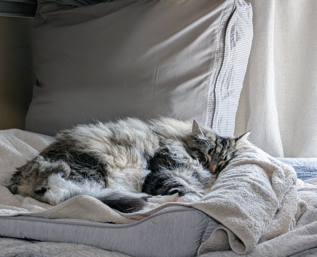 ぽえむ tweet media