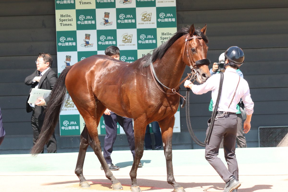 𝙢𝙖𝙘𝙆𝙮_𝙏 tweet media