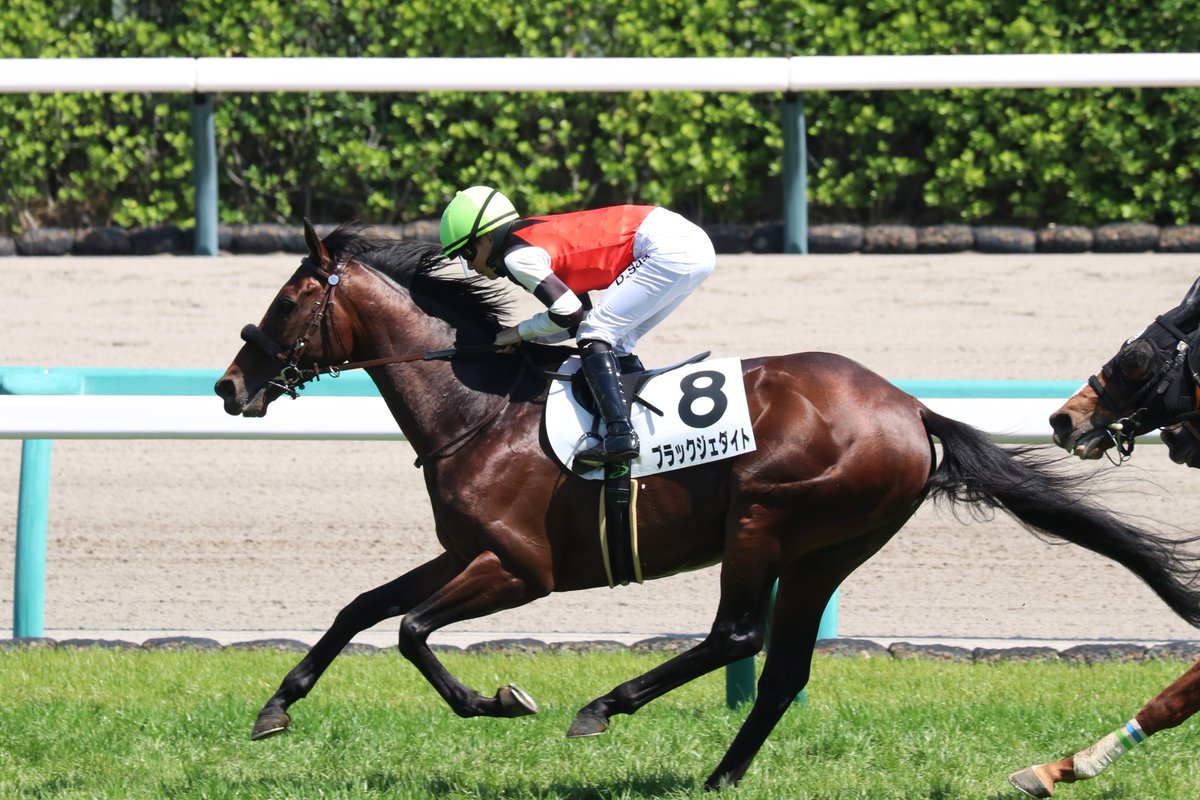 𝙢𝙖𝙘𝙆𝙮_𝙏 tweet media