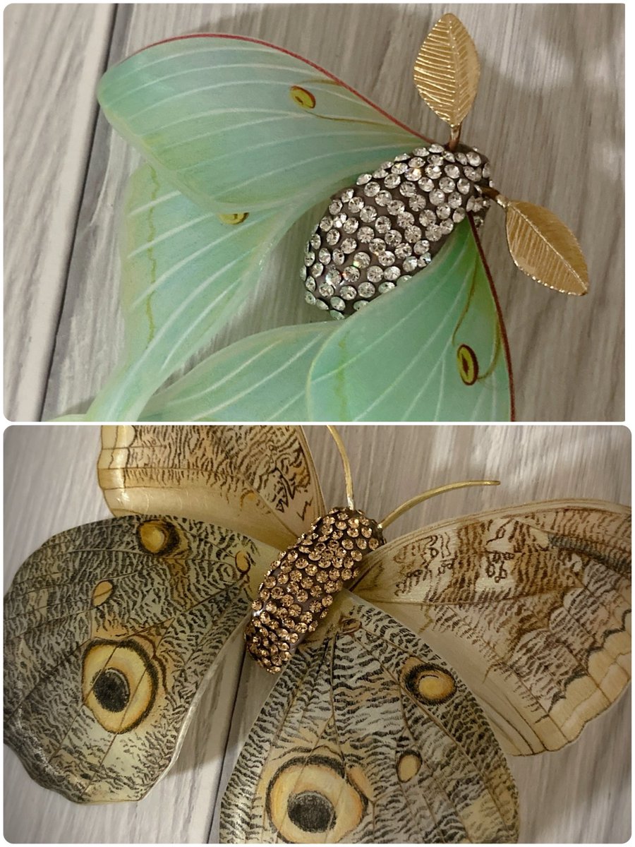 #博物マニア
オオミズアオのブローチ
フクロウチョウのブローチ

本日最終日17時までお待ちしています
名古屋吹上ホール
10:00〜17:00
GEMINIブースNo.105