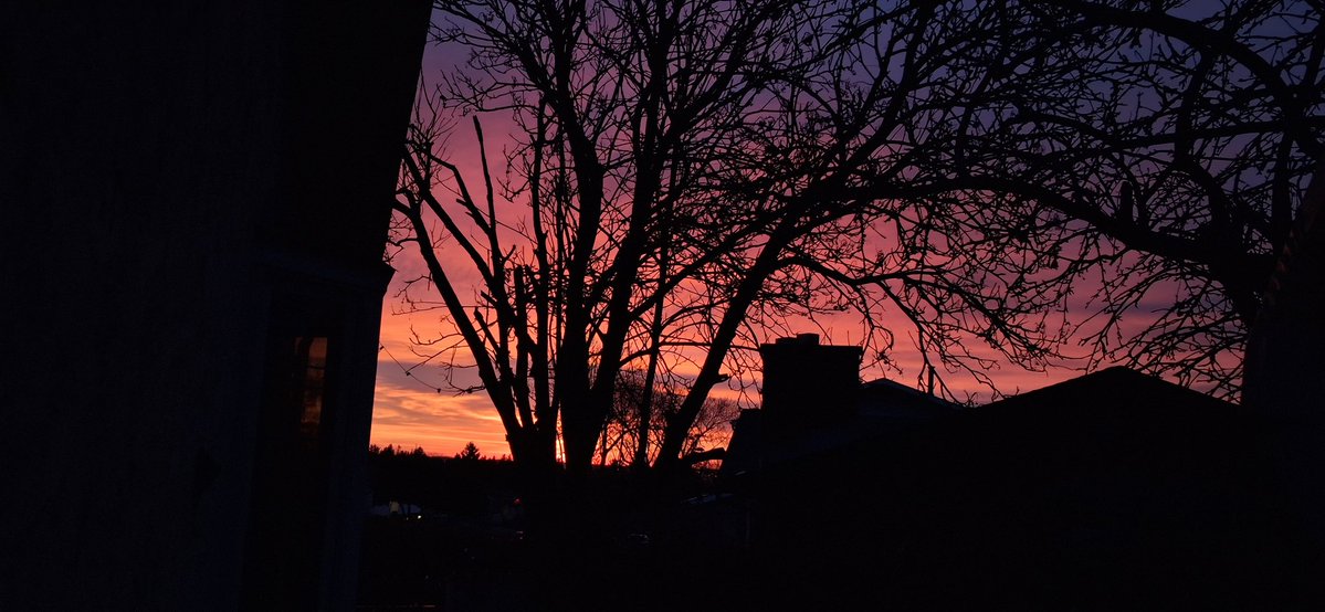 Tea 🍵 tweet media