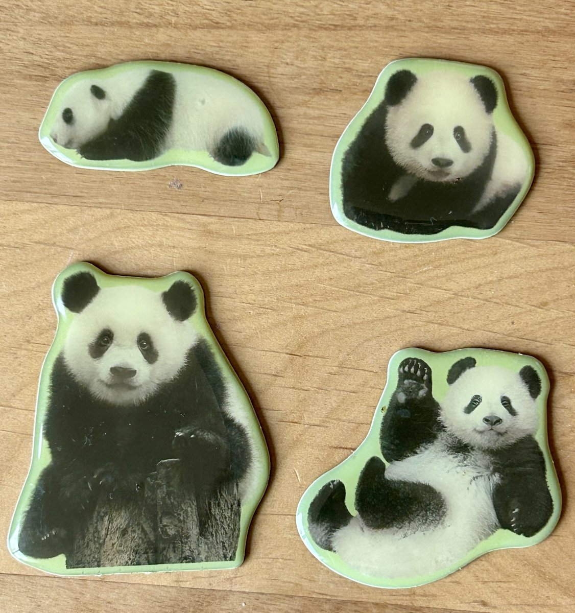 728oreo's tweet photo. まさかフリマでシャンシャン🐼とレイレイ🐼のグッズを何点かゲットしました￼😊 https://t.co/Wf8NNt3oOn