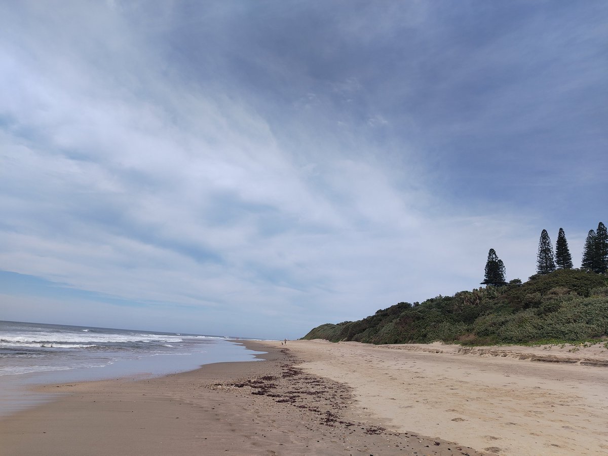 Rgshomemade's tweet image. More #models need to be on #trafalgarbeach
youtu.be/obc5Mnvf1bo?si…