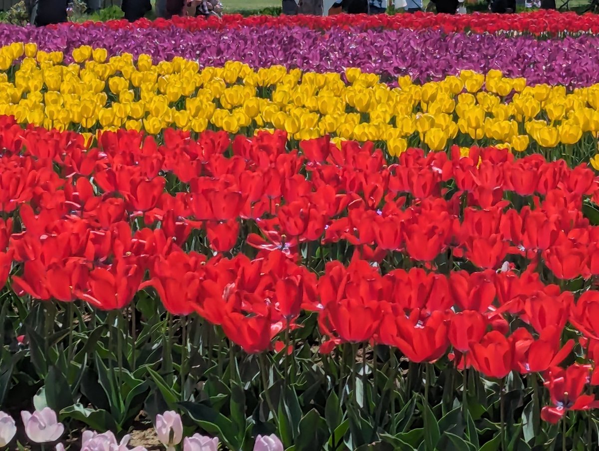 なるしま行政書士事務所 tweet media