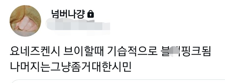 요내회 tweet media