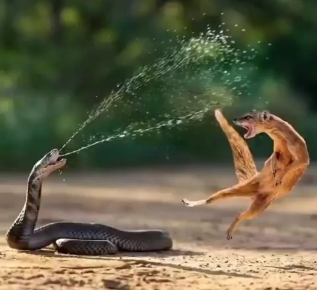 Me as soon as your pastor shifts from salvation to “sow a dangerous seed”