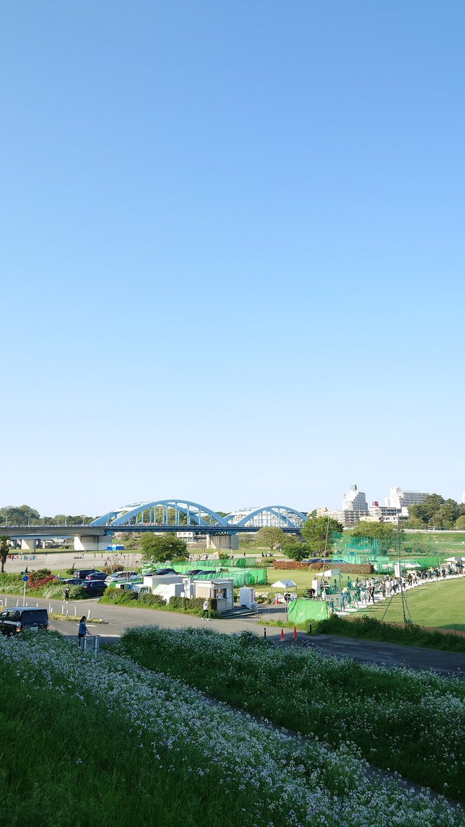 多摩川 tweet media