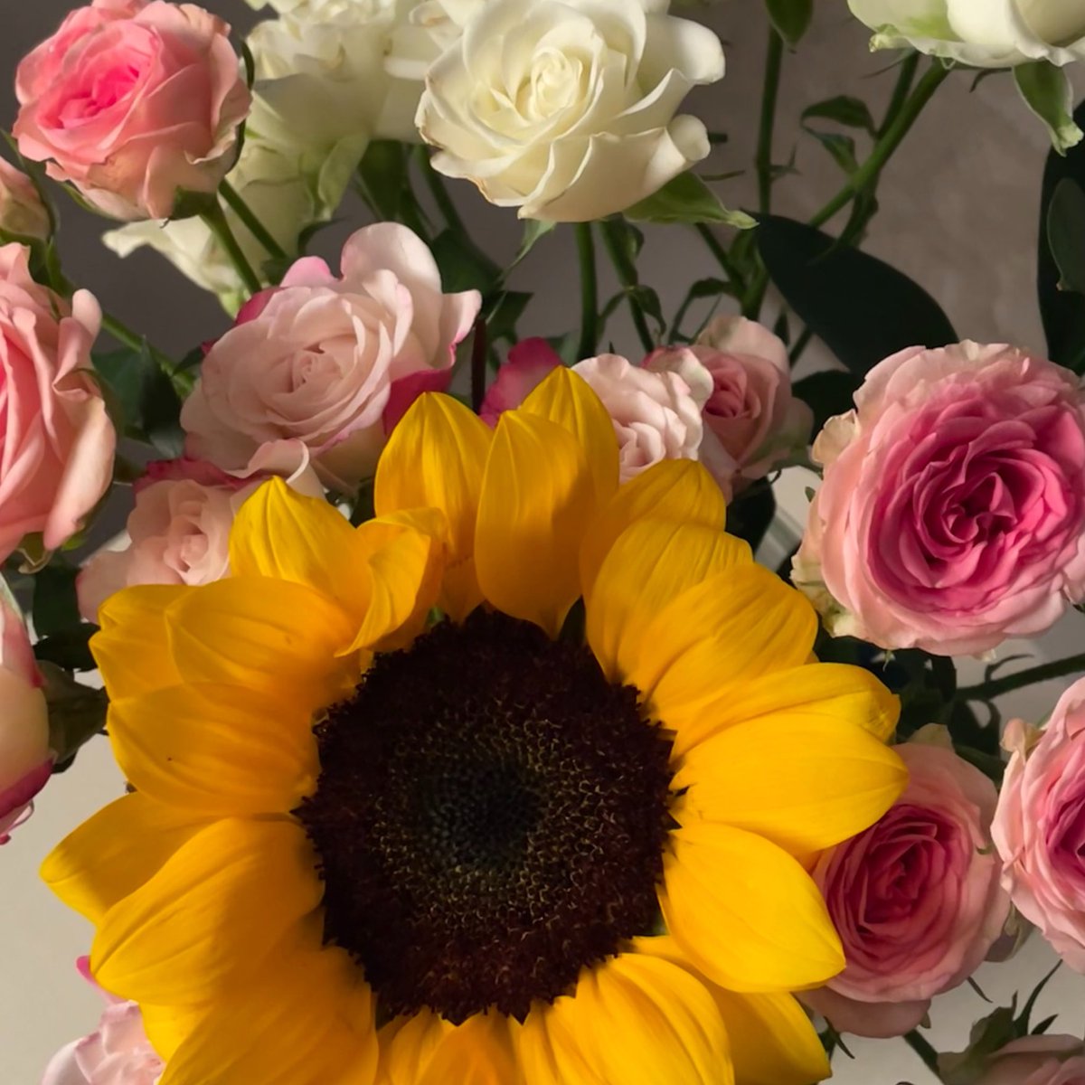 -🌷🌺🌻🪄-