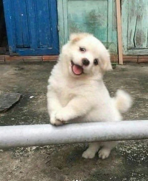 ʸᵘᵘ tweet media