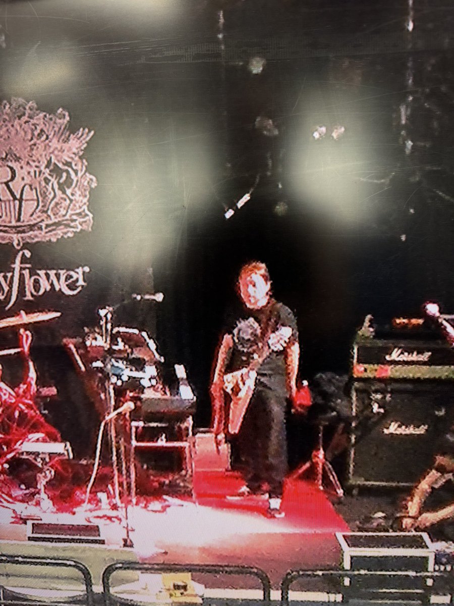 sakurazawa's tweet image. まだあるよ

#Rayflower