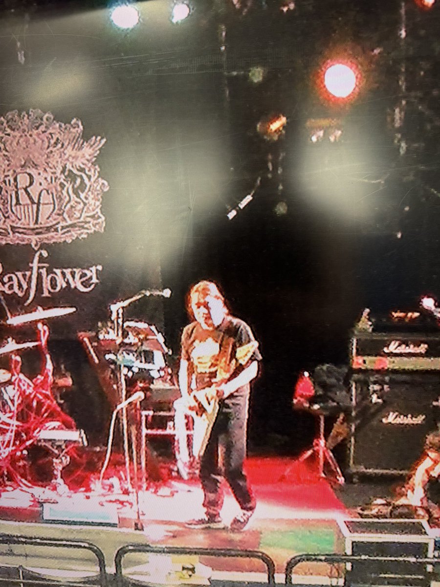sakurazawa's tweet image. まだあるよ

#Rayflower