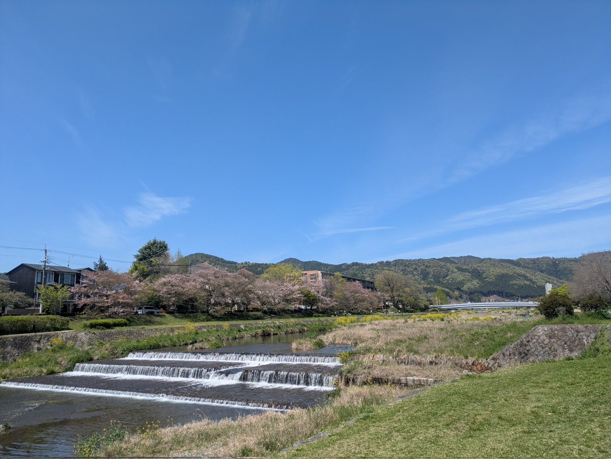 イリー tweet media