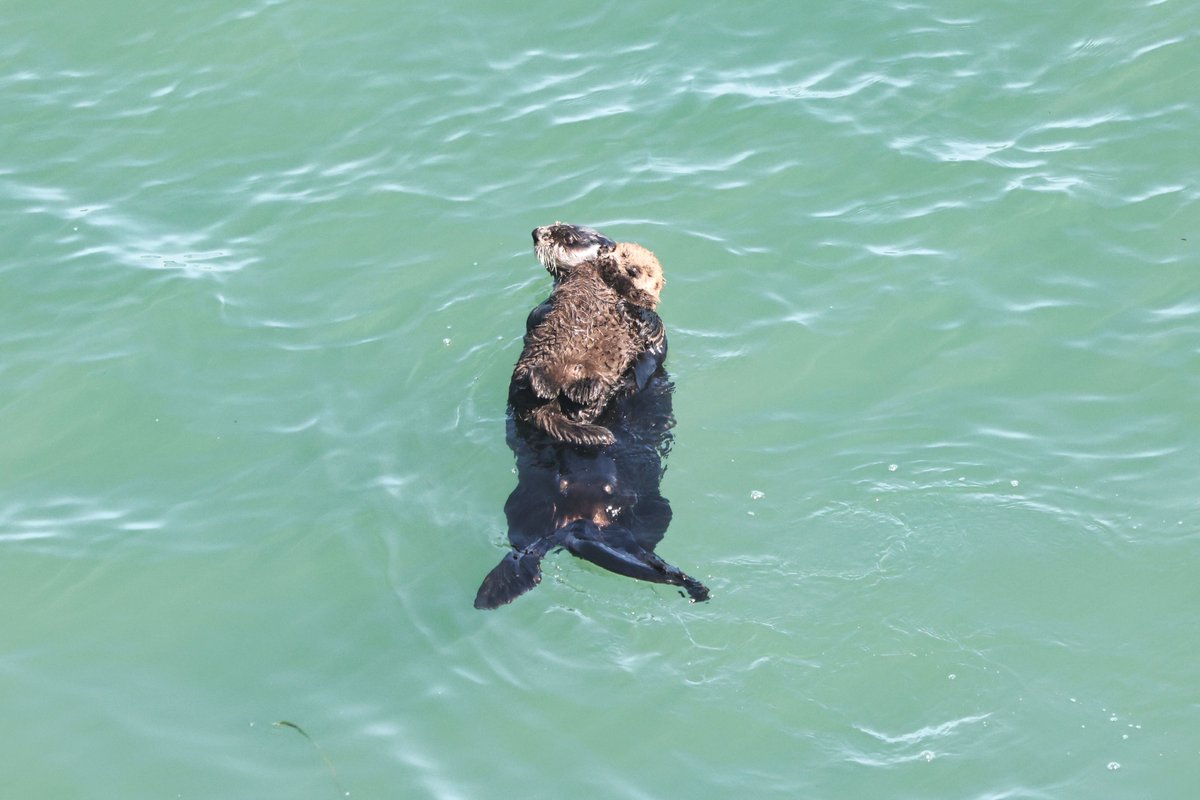 温根湯温泉の人♨️ tweet media
