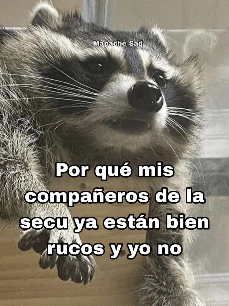 onlyfresitha3's tweet photo. #humor https://t.co/s0j3PyJ5oM