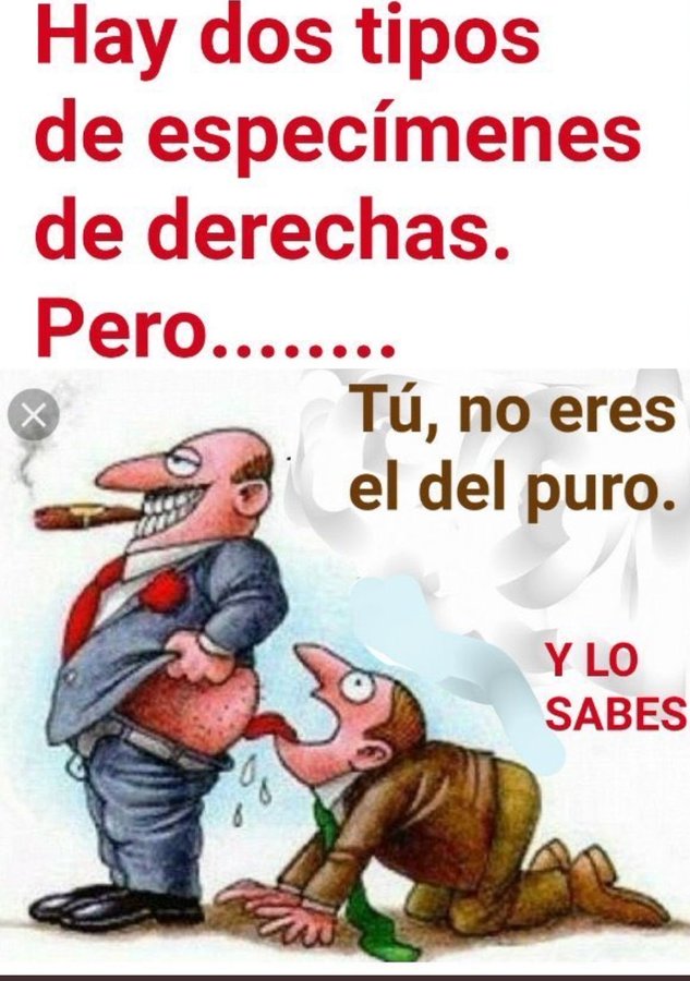 Dios-Bandera-Patria-Rey-Toros tweet media