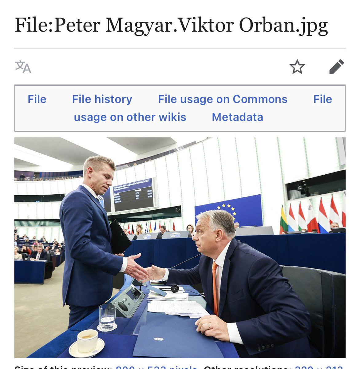 vina in Budapest tweet media