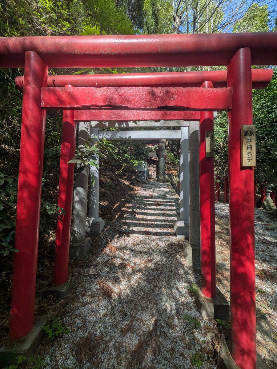 WaiTOMO☂️🪼 tweet media