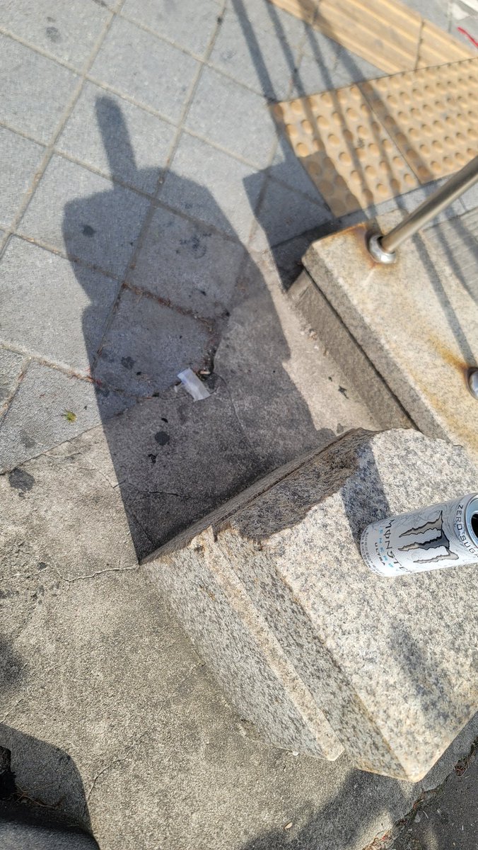 시루치 tweet media