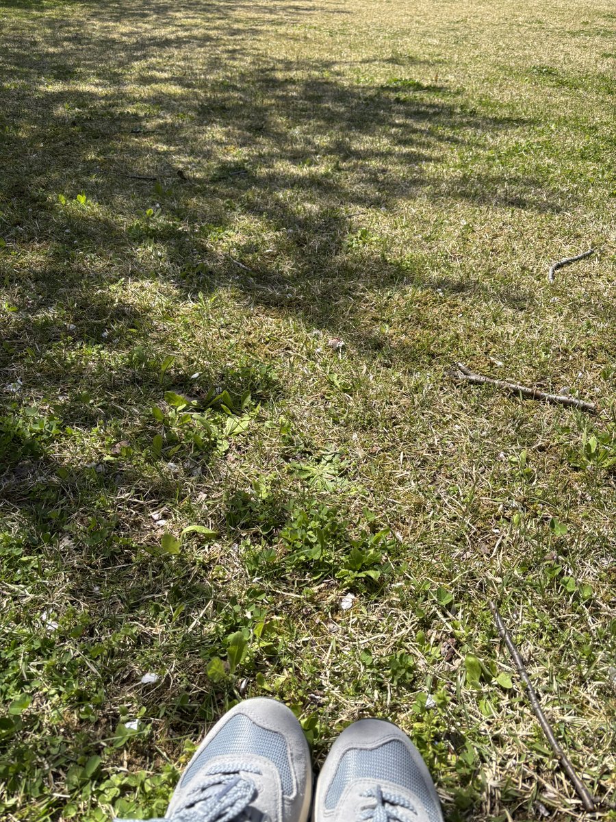 もちこ tweet media