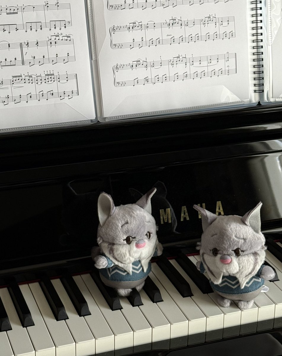 ﾁｮｯ邪魔しないで