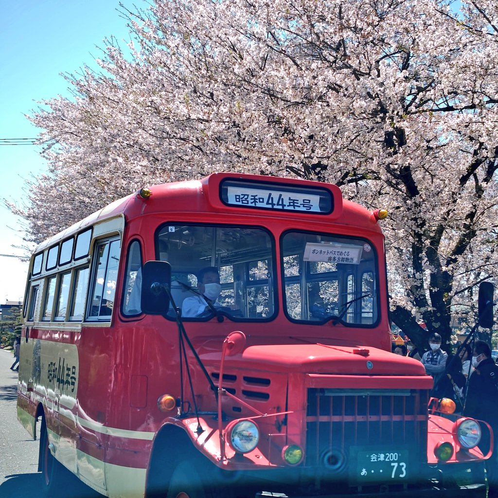 桜満開🌸
強風で散ってしまうのがもったいない😢
