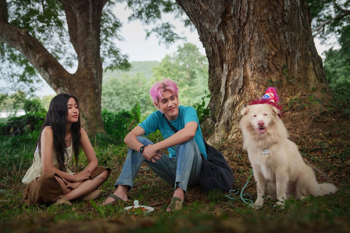 Habis Nonton Film tweet media